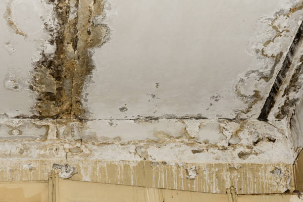 Local water damage restoration in Edmond, OK